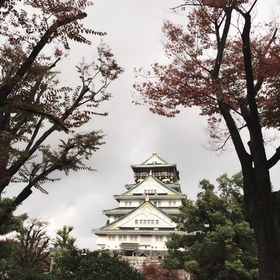 1511大宝 中宝 小宝的关西游 自由自在随性游 大阪 奈良 白滨 神户11天10晚 已完结 日本 论坛 穷游网