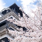 21年熊本市旅游攻略 4月熊本市自由行 周边游攻略 熊本市自助游旅行指南 穷游网