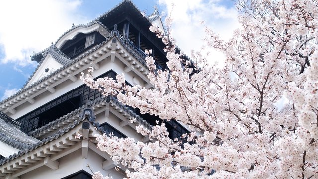 熊本城景点观光攻略 熊本城地址 熊本城门票查询预订 穷游网移动版