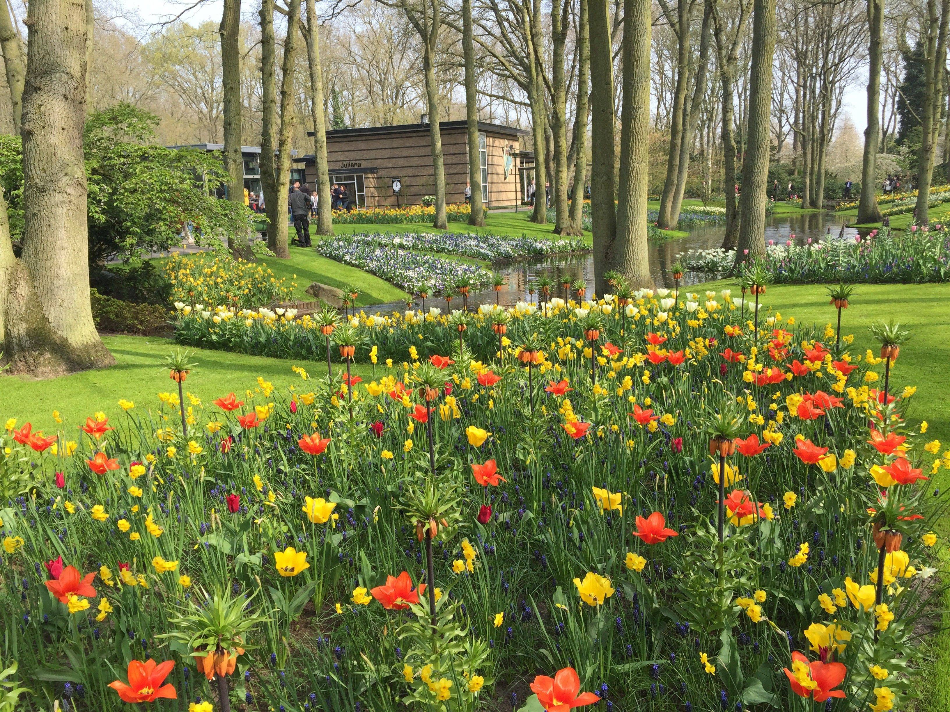 欧洲8国跟团游全记录,教你如何将跟团游变成自