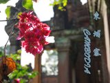 【COCO的旅行时光】之柬埔寨，五月的盛放，我心中永远最美的吴哥（纪念首次自由行）