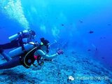 【休闲国际】潜水系列—来自深海的邀约 马尔代夫船宿游记