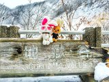 北海道飘雪的圣诞和东京跨年的钟声