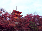 独行日本——我的【日囧】之旅（大阪+京都+奈良）