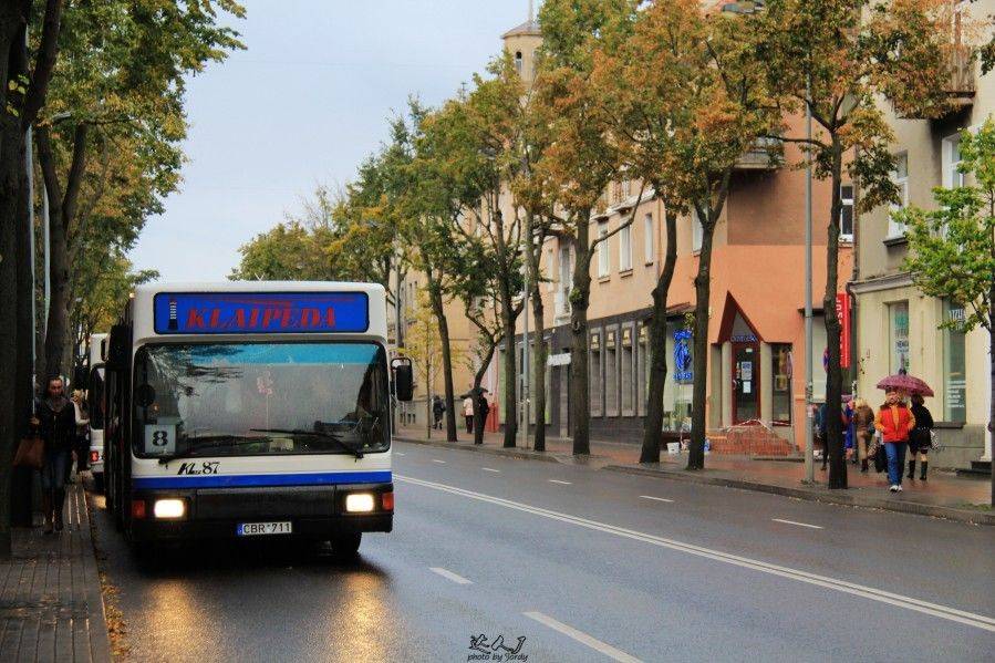 库尔斯沙嘴湖与海为邻