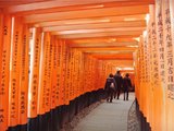 【陆潜之旅】2016关西跨年夜，新年抢福袋+京都奈良+环球影城