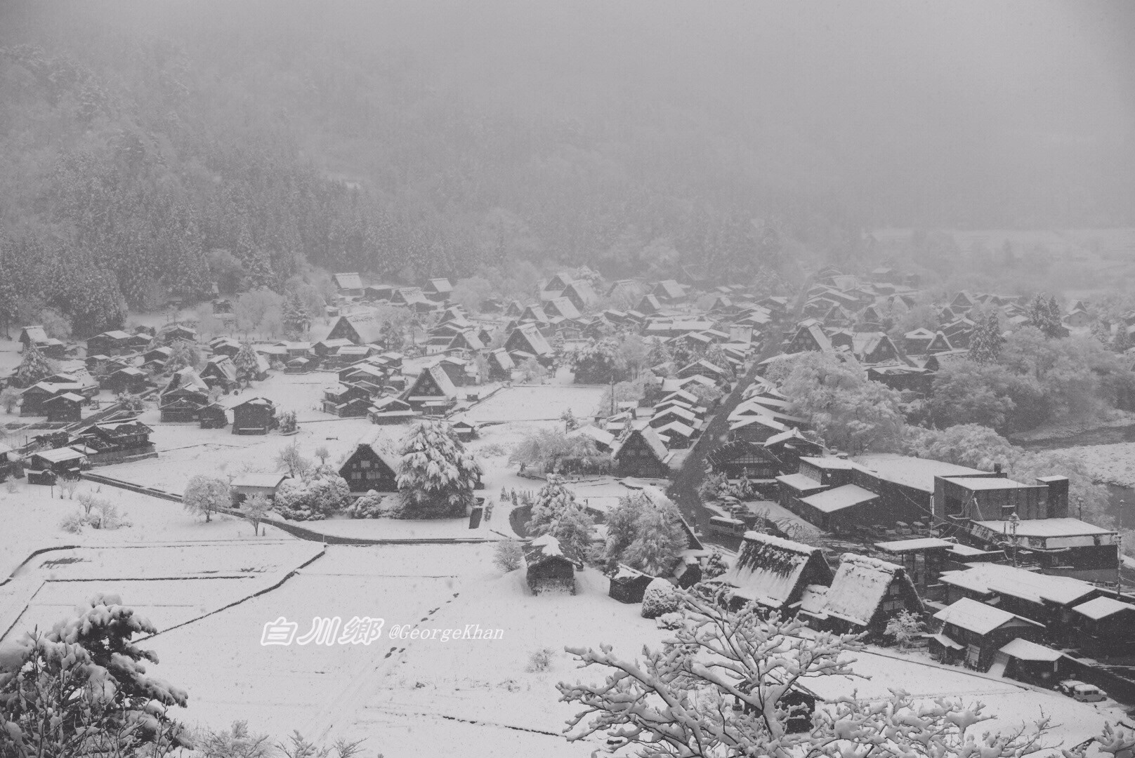 小林克游日本 海之胜景与山之秘境 富山岐阜亲子短打 富山 冰见 五箇山 白川乡 高山 日本 带孩子旅行 论坛 穷游网