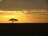 2016年初 乞力马扎罗山+坦桑尼亚Safari