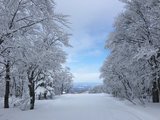 2016年的滑雪第一站，青森八甲田和安比高原
