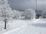 青森滑雪续集：八甲田滑雪，酸汤温泉男女混浴！