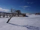 日本一年N次之第二弹：北海道冬之篇—世界尽头与冷酷仙境（函馆 层云峡 阿寒湖 知床五湖 网走 旭川）（超详攻略）