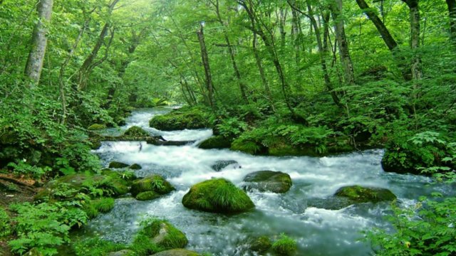 白神山地远足运动户外攻略 白神山地远足地址 白神山地远足门票查询预订 穷游网移动版