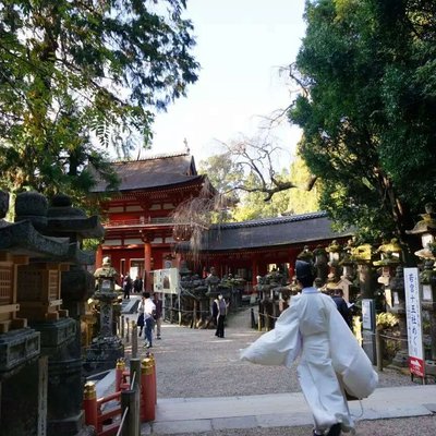 日式风物之关西秋日物语 大阪 京都 奈良 神户 日本 环游亚洲 论坛 穷游网