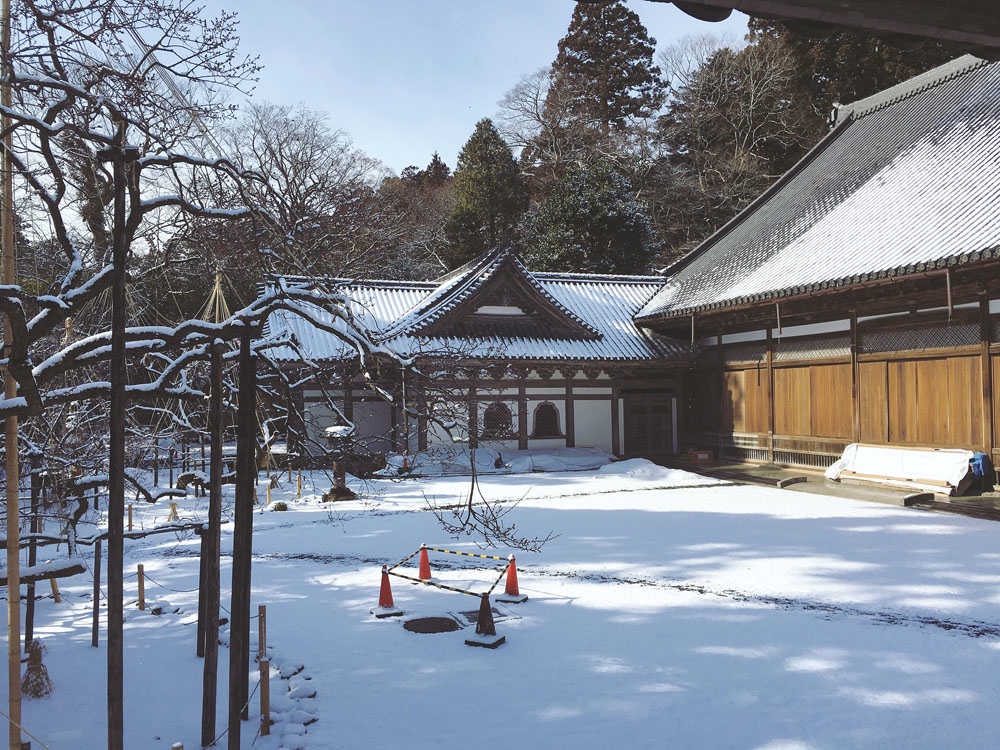 海境より 会津若松武士之乡 雪の仙台松岛 新选组巡礼 东山温泉 披雪古刹 东京松鼠零距离 江户风情 日本