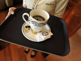 巴厘岛文化之猫屎咖啡