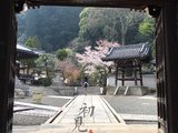 “谁是表情帝”---记我们一行四人的2016日本花见之旅