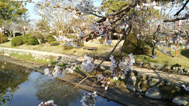 神野公园景点观光攻略 神野公园地址 神野公园门票查询预订 穷游网移动版