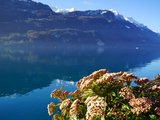穿梭于初春瑞士的湖光山色间的8日