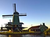 西欧 ▏荷兰库肯霍夫 探访世界上最美丽的春天