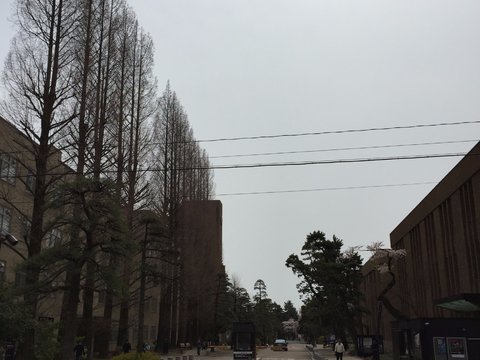 东北大学景点观光攻略 东北大学地址 东北大学门票查询预订 穷游网移动版