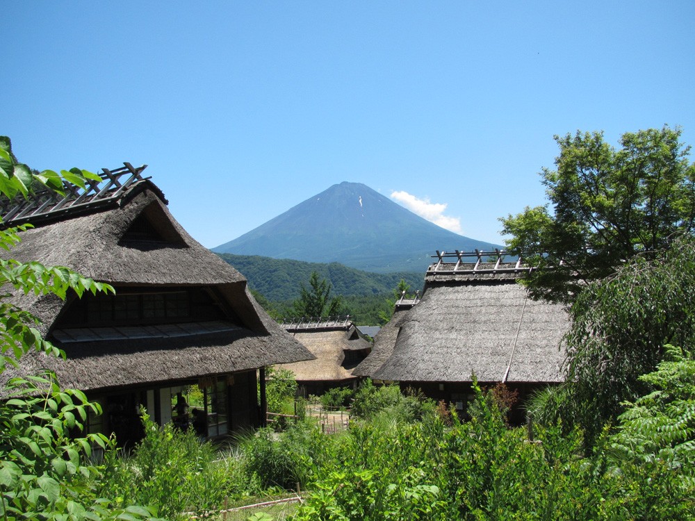 感受日本 东京镰仓箱根富士河口湖11日行程安排攻略 非游记 日本 带父母旅行 带孩子旅行 论坛 穷游网