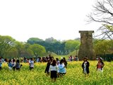 【2016·春】第25届庆州樱花马拉松——在庆州过周末