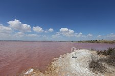 西班牙的粉色湖
