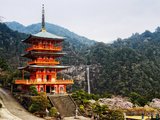 2016日本旅游攻略 樱花季 从温泉之旅到鸡汤之旅 最后返回樱花的绽放