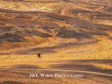 J&L摩行纪——再见，榴莲（Morocco）(全文完）