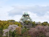 【日本旅游攻略】落樱の霓虹，我走过的大阪奈良京都箱根东京（欢迎提问）