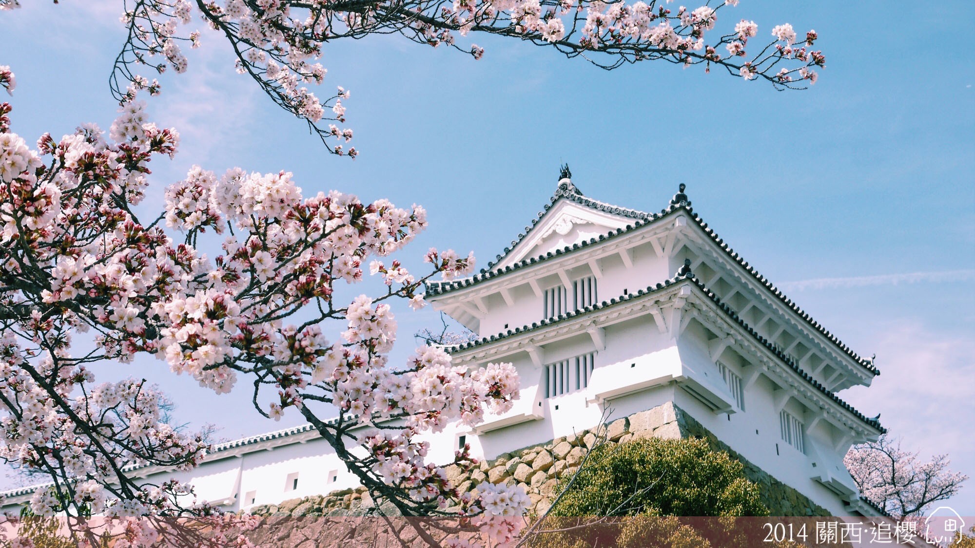 多图 干货 那年关西追过的樱 京阪神奈 私藏赏樱地 日本 论坛 穷游网
