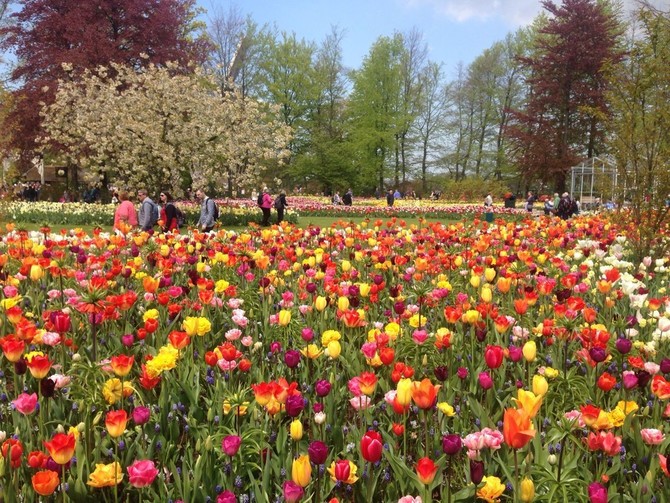 wyyyy123的首页 - 穷游网,旅途永无穷尽