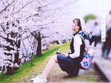 遇见醉美的樱花海——日本关西赏樱之旅（京都、奈良、大阪）持续更新
