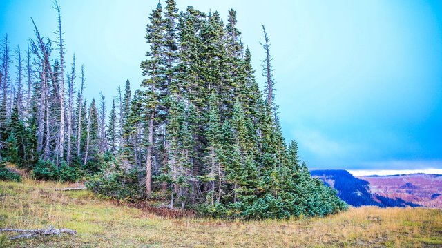 Cedar Breaks国家保护区景点观光攻略_Ceda