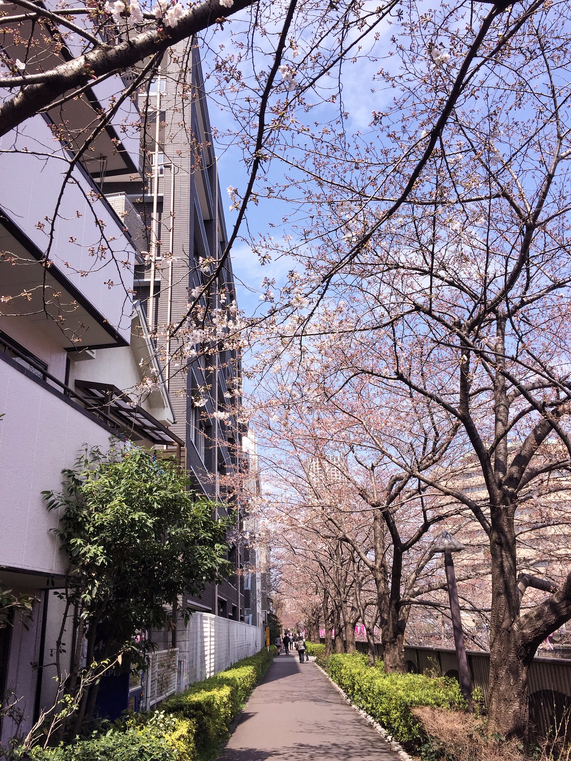 初めて日本へ旅行に行くと 少し殘念です 日本 论坛 穷游网