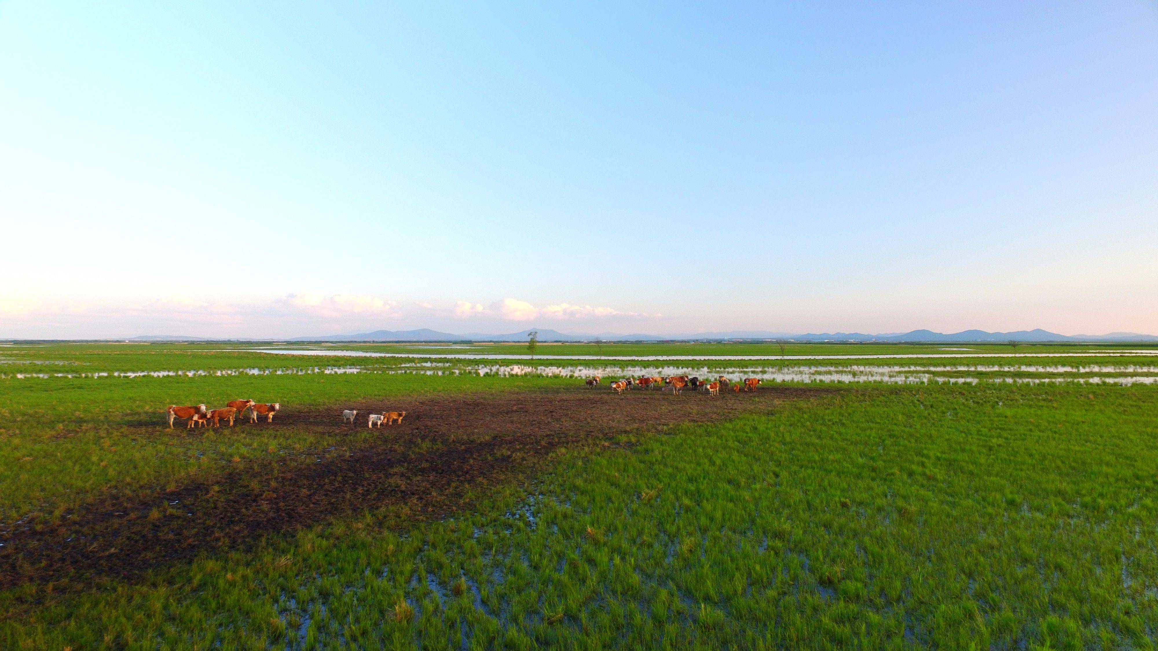 中国最东方黑龙江之虎林饶河抚远最全攻略