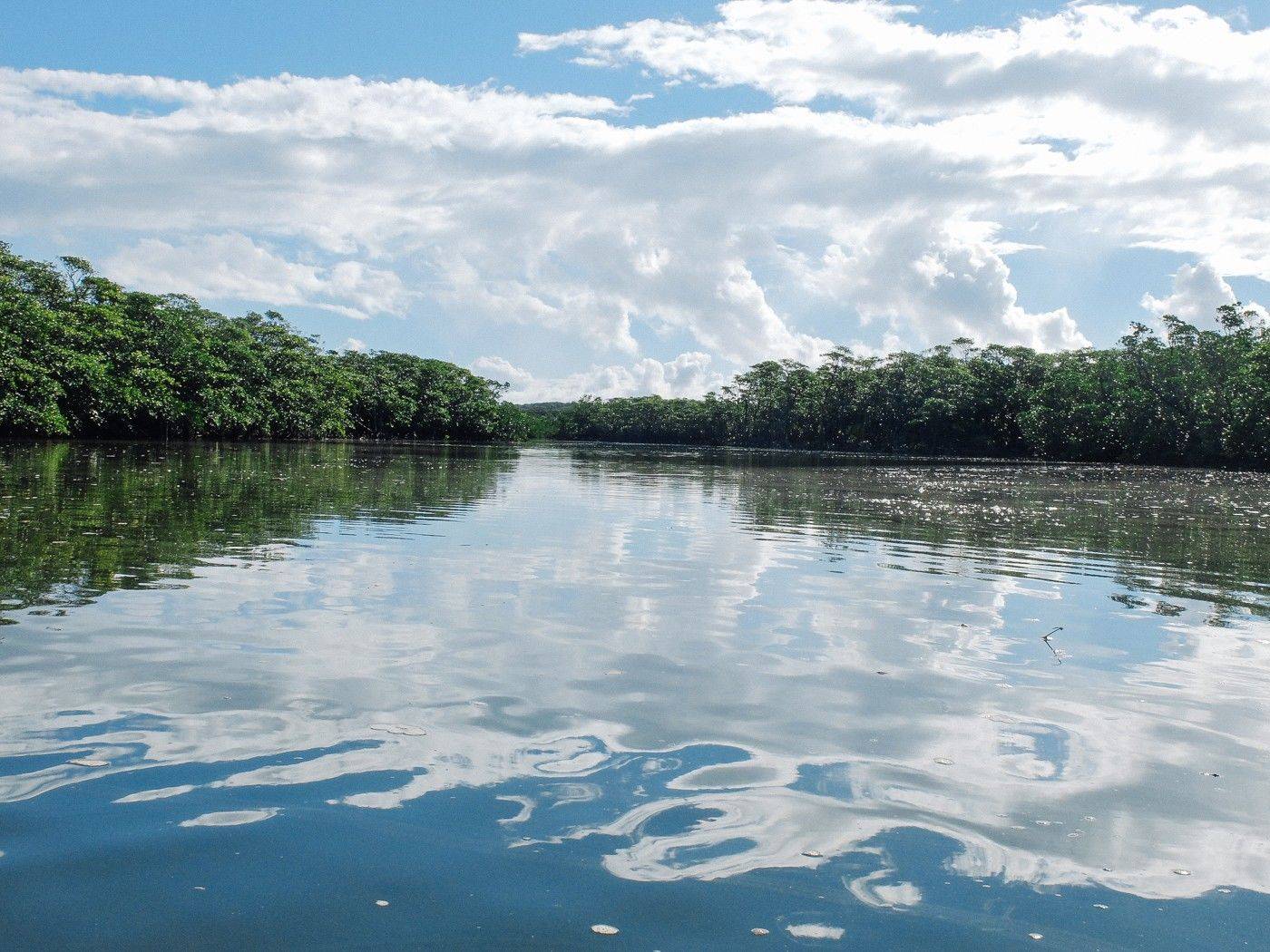 石垣岛 西表岛 竹富岛 游记 ishigaki island 2015.