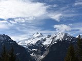 2016夏奥地利德国瑞士15天-一小拖五老的家庭旅行（附游记、攻略、花费）