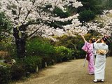 【小馨馨在日本】16年日本旅居游记第二弹：行走在日本的樱花季 ：名古屋-京都-奈良-大阪（附完整行程单）