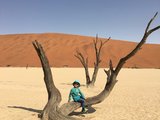 [zdlight][大手牵小手，我们一起走]之纳米比亚+南非（5岁）