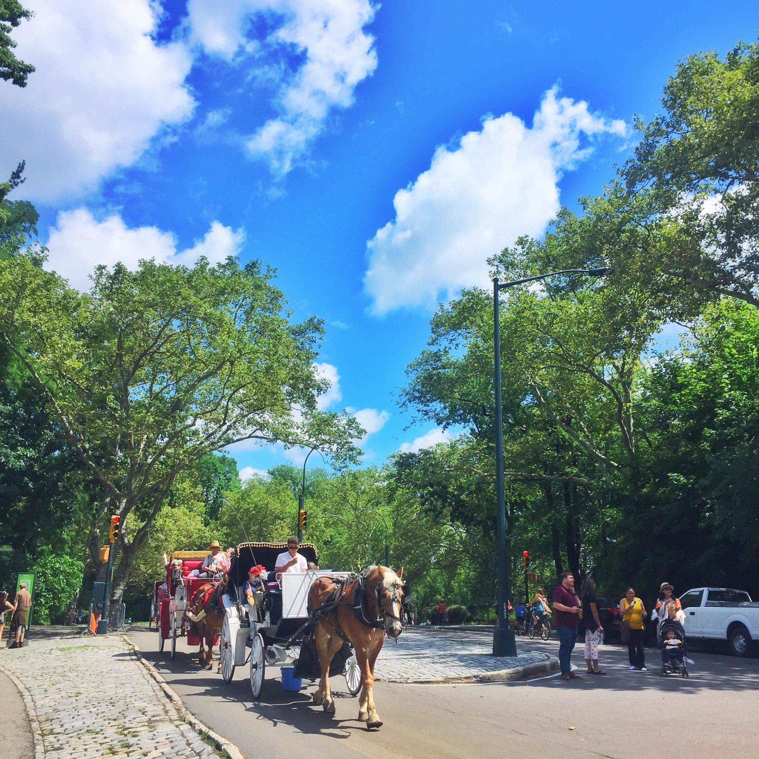 酱的旅行日记之我们终将携手远行(美东纽约普
