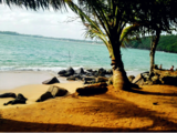 海龟保育 ‖ 听海风说一段童话—斯里兰卡国际义工旅行游记