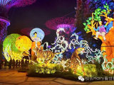 美轮美奂的新加坡中秋节灯会(多图)
