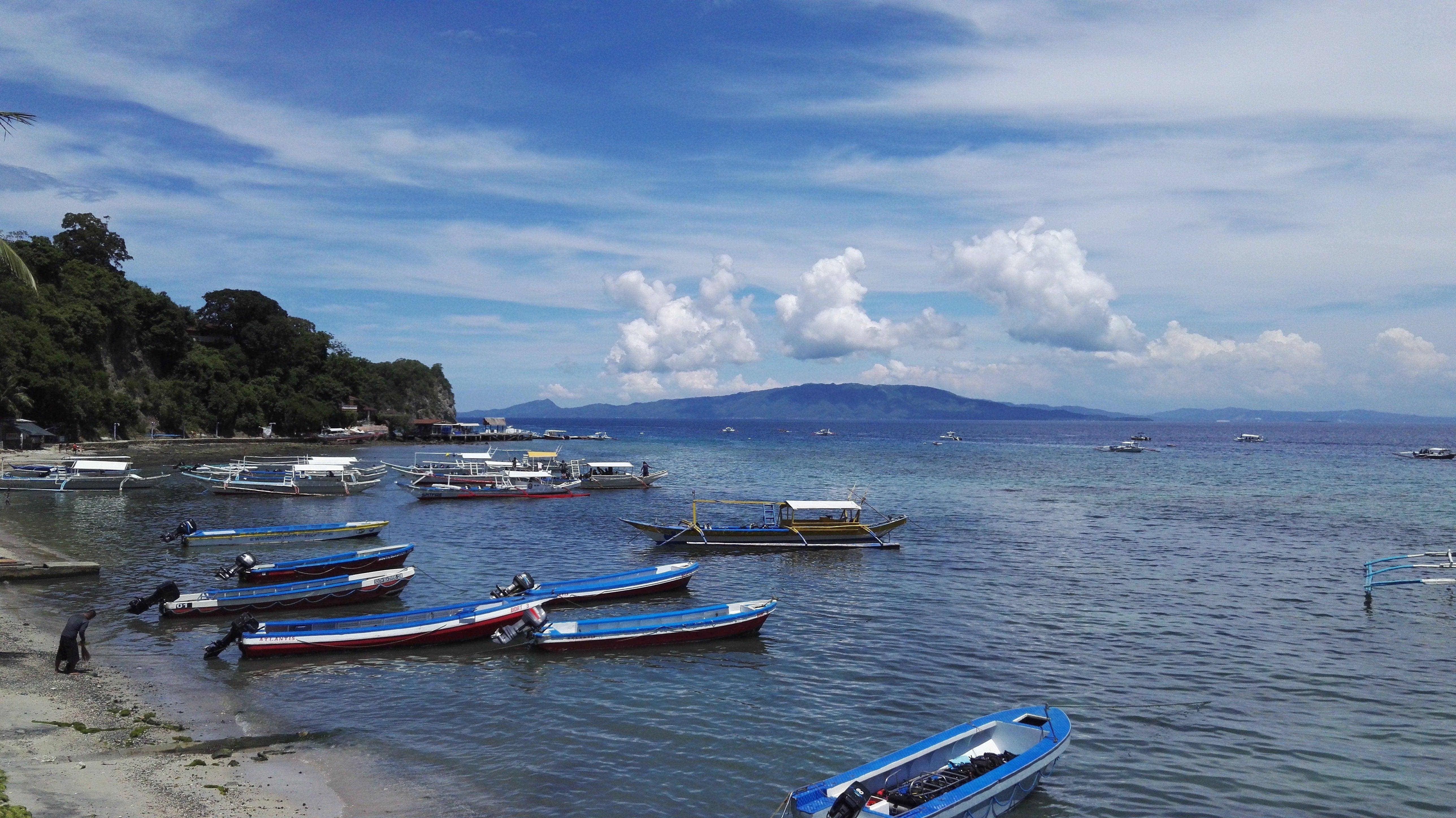 【对世界上瘾】海岛控之——菲律宾pg海豚湾(puerto galera)潜水水摄