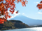 赏红叶 日本 东京周边 富士五湖之河口湖两种玩法 实用贴