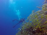 巴厘岛体验潜水-带你装逼带你飞