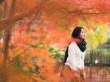 【对世界上瘾】追逐“枫雪の旅”日本京都、北海道十日游——最美的回忆在路上