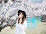 七天物语——在日本九州的暖春之旅