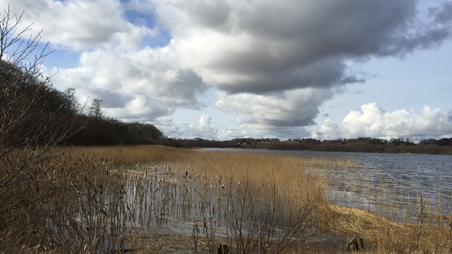 北西兰岛狩猎园林景点观光攻略_北西兰岛狩猎