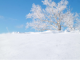 冰雪童话——雪乡行